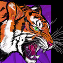 Introducing Club Calima Courses